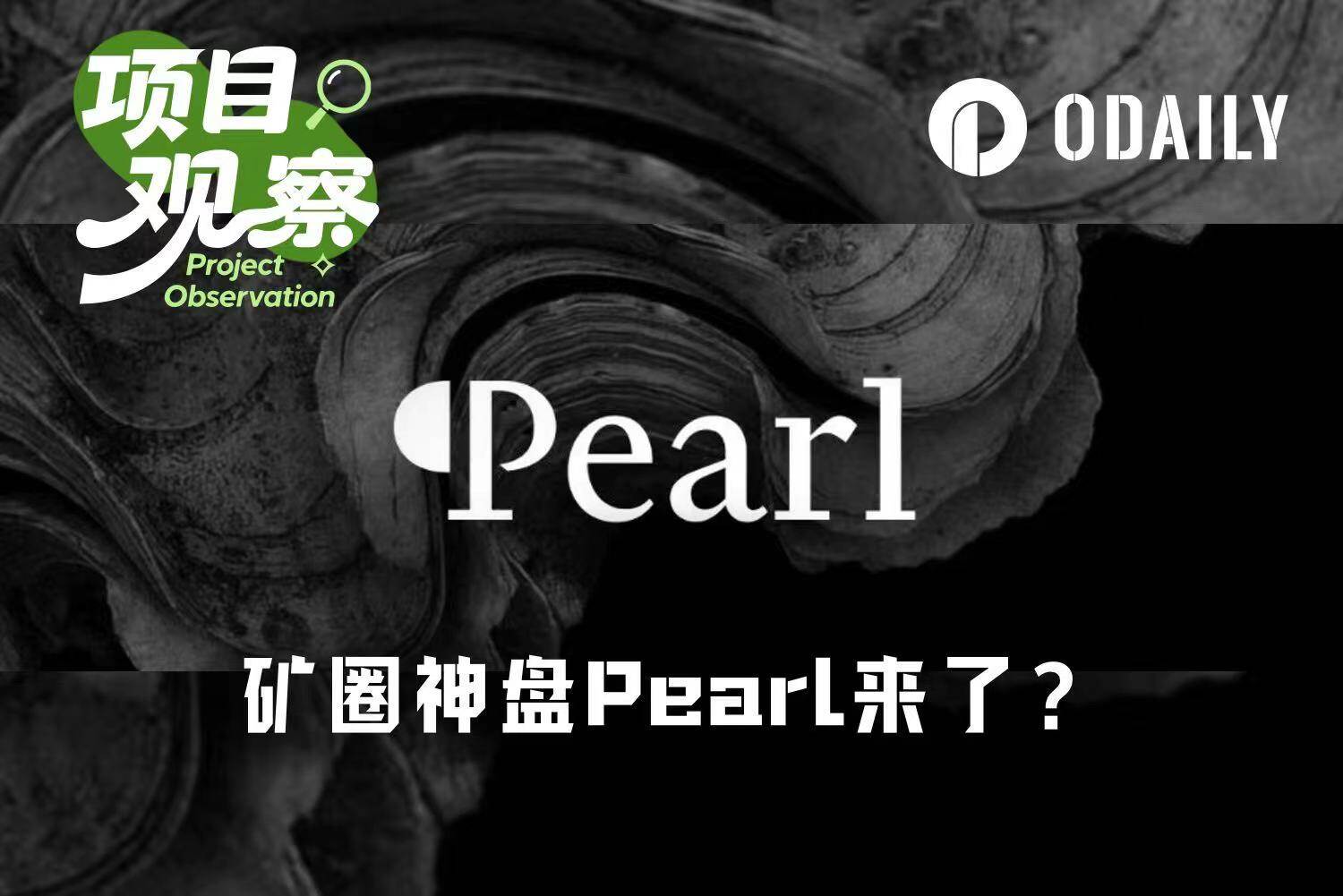 a16z 150万美元扫货PoW神矿？Pearl让矿圈再度沸腾（附挖矿实操）