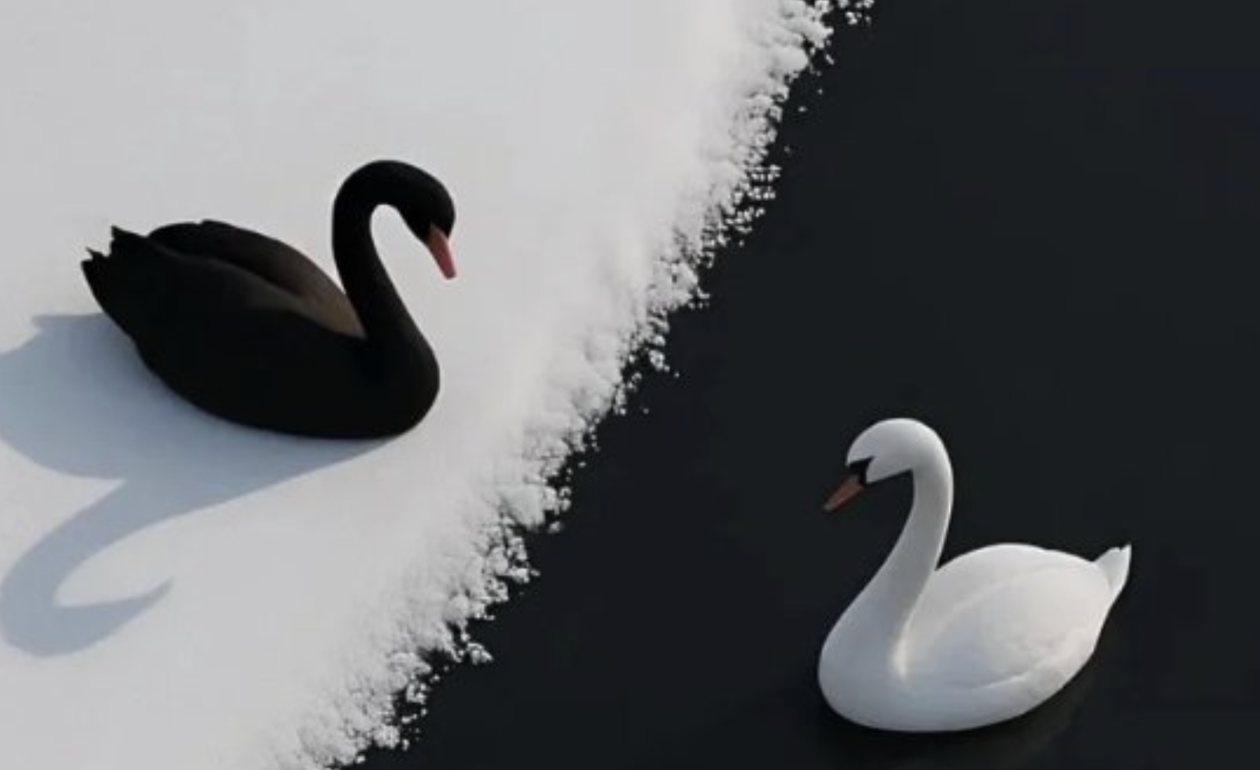 亏损2000万的血泪教训：关于美股抄底，你只需记住这“三要三不要”